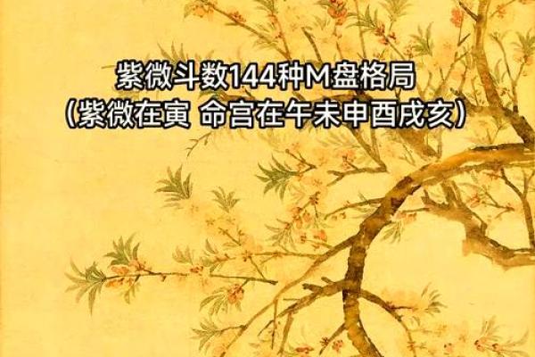 2025年4月19日亥时女命紫微斗数全解盘