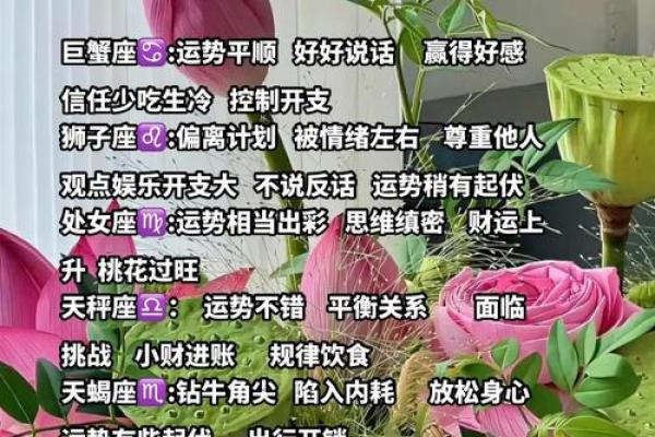 十二星座今日运势及财运查询_十二星座今日运势财运查询精准解析助你把握财富先机