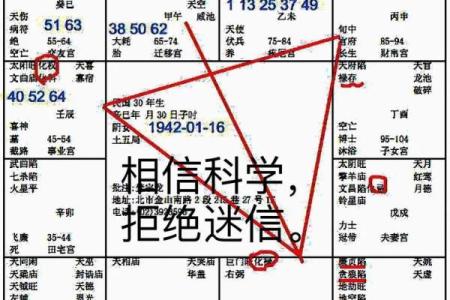 2025年4月3日巳时男命紫微斗数全解盘