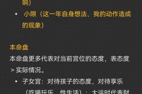 2025年4月19日申时男命紫微斗数全解盘