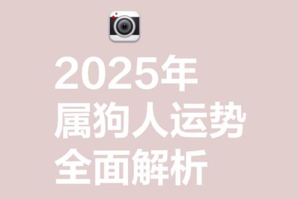 属狗人的2025年运势_2025年属狗人运势详解事业财运爱情全解析 属狗人的2025年运势_2025年属狗人运势详解事业财运爱情全解析