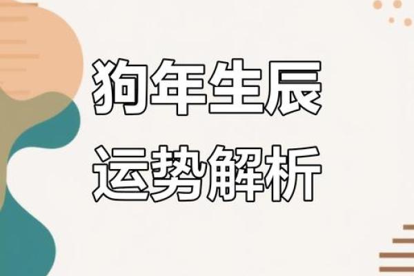 属狗人的2025年运势_2025年属狗人运势详解事业财运爱情全解析 属狗人的2025年运势_2025年属狗人运势详解事业财运爱情全解析