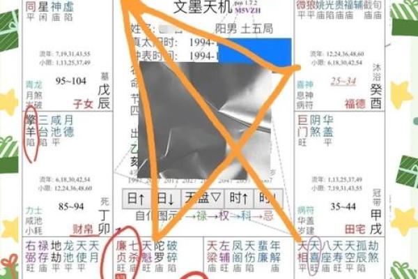 2025年4月3日酉时男命紫微斗数全解盘