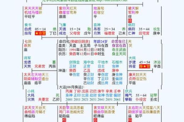 2025年4月8日寅时男命紫微斗数全解盘
