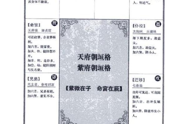 2025年4月8日申时男命紫微斗数全解盘