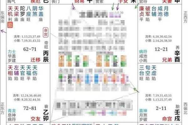 2025年4月19日酉时男命紫微斗数全解盘