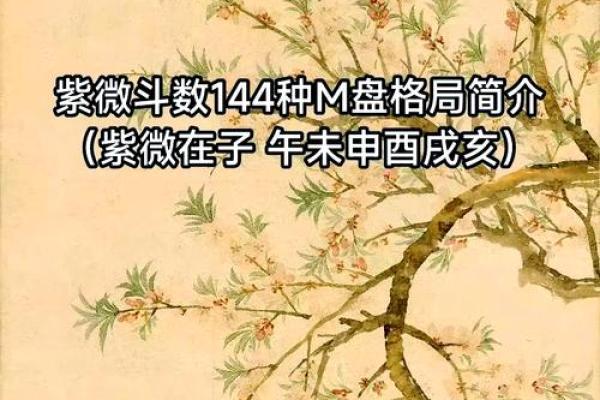 2025年4月20日寅时女命紫微斗数全解盘