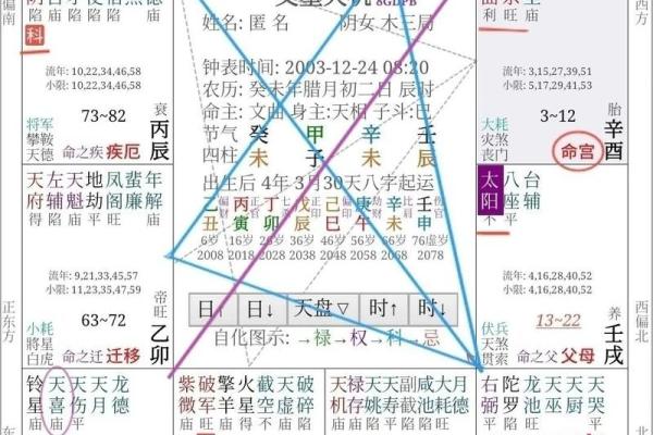2025年4月5日未时女命紫微斗数全解盘
