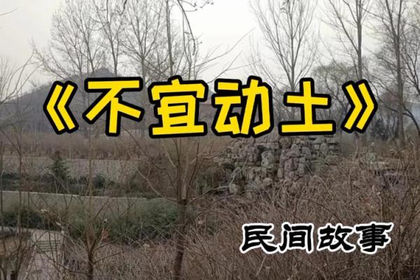 动土咒(动土咒正确读法)