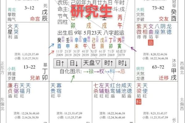 2025年4月6日卯时女命紫微斗数全解盘