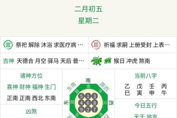 2025年4月24日巳时女命紫微斗数全解盘