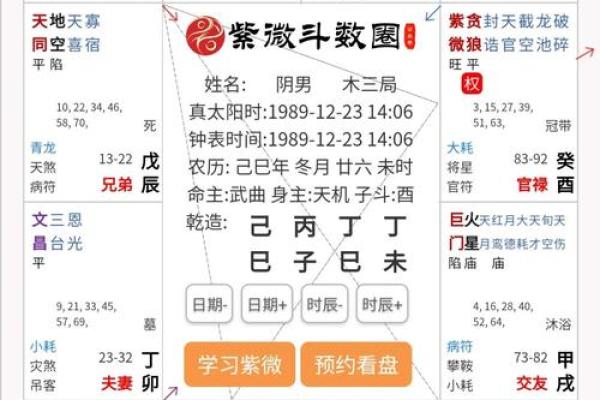 2025年4月14日未时女命紫微斗数全解盘