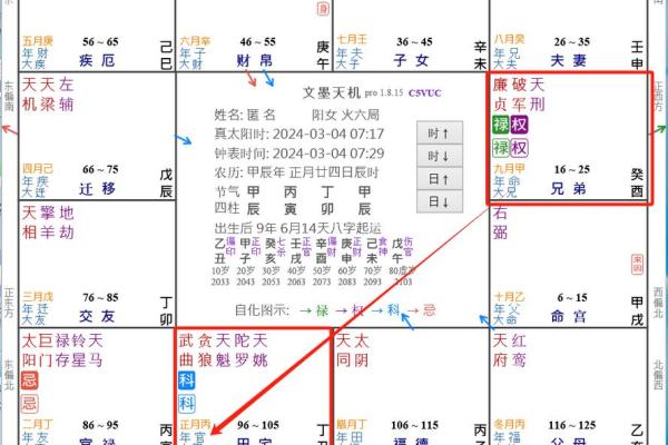 2025年4月12日子时男命紫微斗数全解盘
