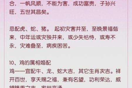 1999年最佳婚配属相