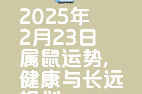 2025年属鼠人的全年运势 2025年属鼠人的全年运势