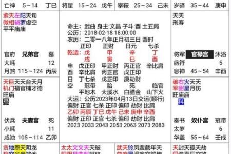 2025年4月9日酉时男命紫微斗数全解盘