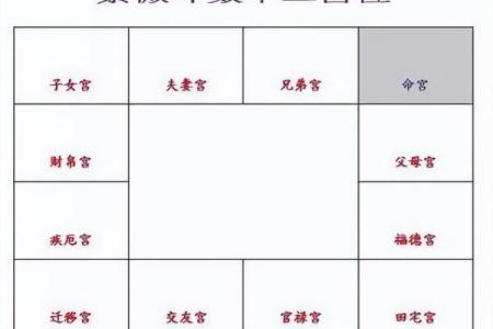 2025年4月2日寅时女命紫微斗数全解盘