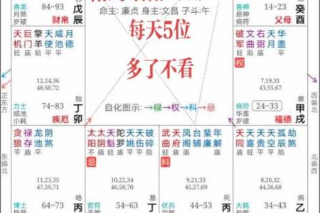 2025年4月11日辰时男命紫微斗数全解盘
