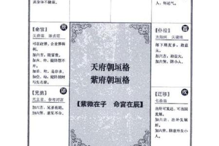 2025年4月23日寅时女命紫微斗数全解盘