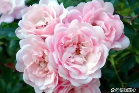 动土需要什么讲究