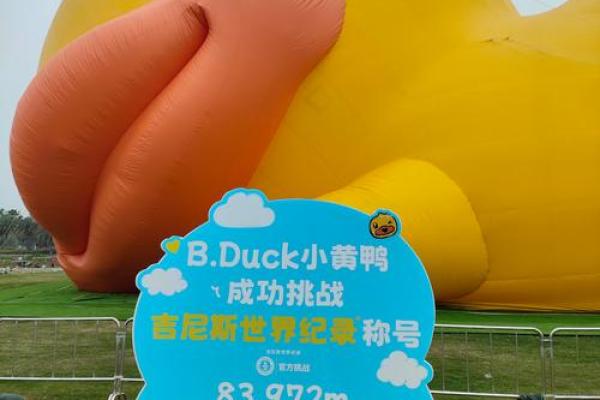 小黄鸭 风水 小黄鸭 风水