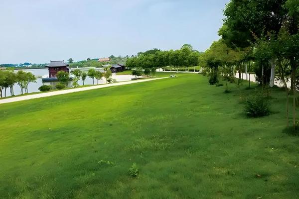 原始房子风水怎么样