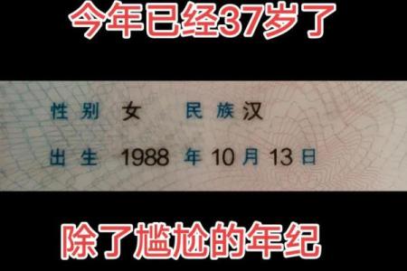 农历1988年月龙算命