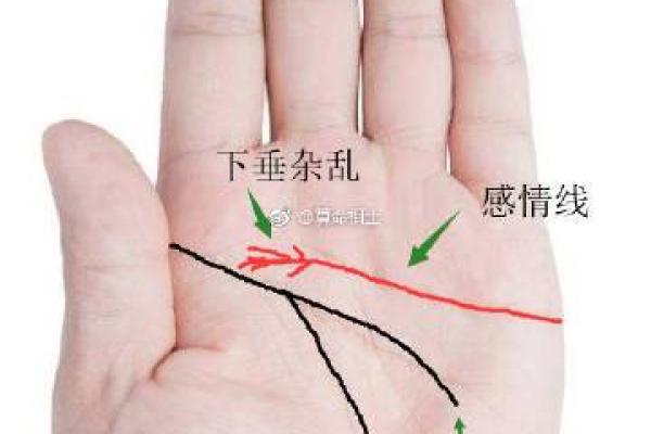 揪着别人的心算命 揪着别人的心算命