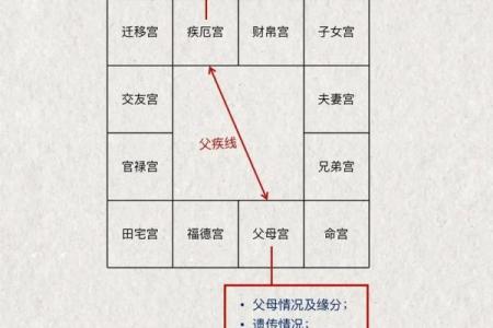 紫薇斗数羊驼夹