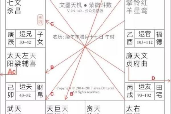 紫薇斗数限运