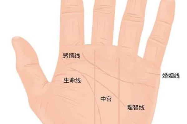 怎么看手相算命，怎么看手相算命图解