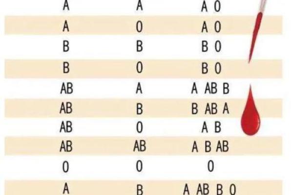 网上如何查自己的血型 网上如何查自己的血型
