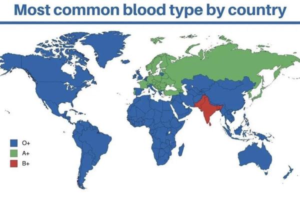 血型各国比例分析 血型各国比例分析