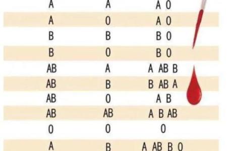 网上如何查自己的血型