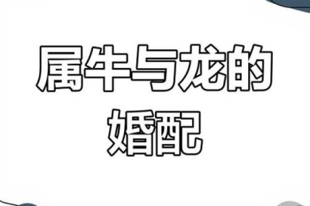 属牛和什么属相最配对 属牛和什么属相相冲