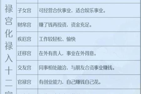 紫薇斗数事业宫化忌