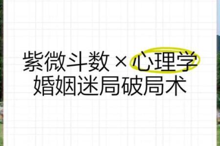 紫薇斗数煞星破局