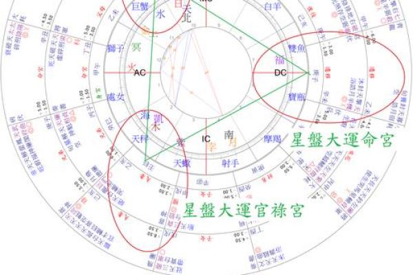 紫薇星盘怎么排