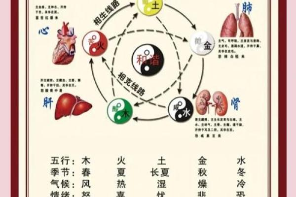 有名的老中医竟然都会算命？中医与五行八卦是什么关系？