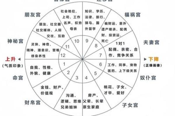 宫度论命法，宫度算命解析