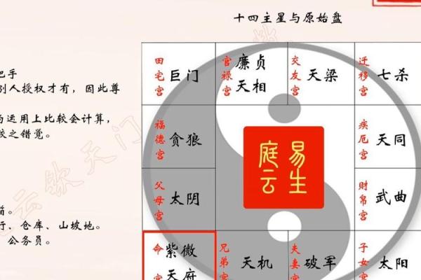 紫薇斗数天府男