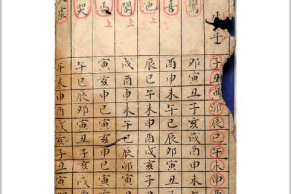 高级紫薇斗数书