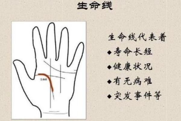 男人生命线图解,男人看手相生命线算命 男人生命线图解,男人看手相生命线算命