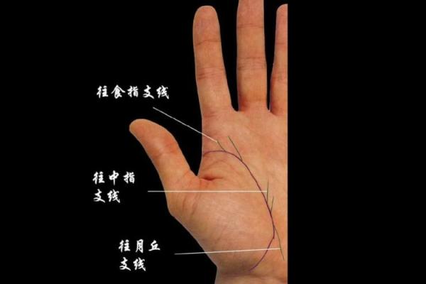 男人生命线图解,男人看手相生命线算命 男人生命线图解,男人看手相生命线算命