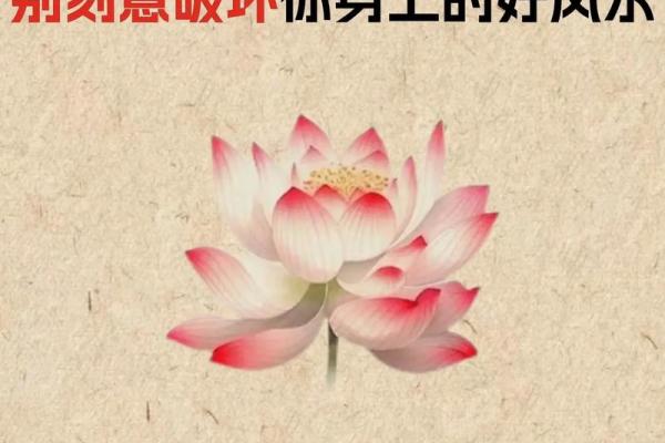 生意不好?真正原因藏在风水中 生意不好?真正原因藏在风水中