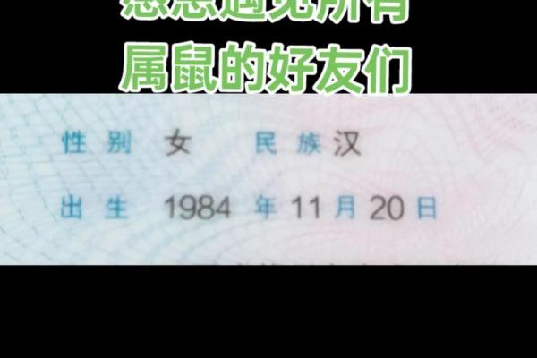 婚姻算命：84年鼠40岁的感情运势如何