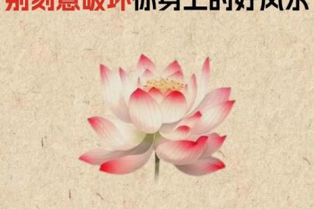 生意不好？真正原因藏在风水中