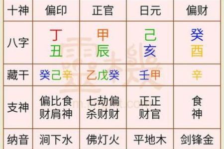 八字中透干算命意思