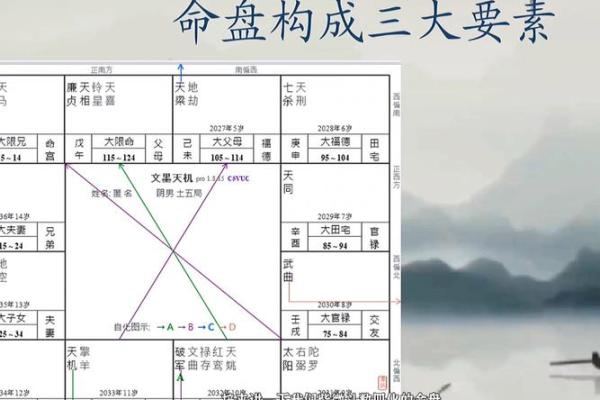 紫微斗数河洛 紫微斗数河洛派四化？