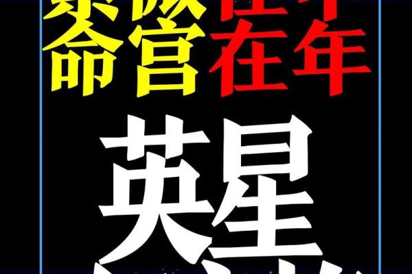 紫薇斗数视频合集